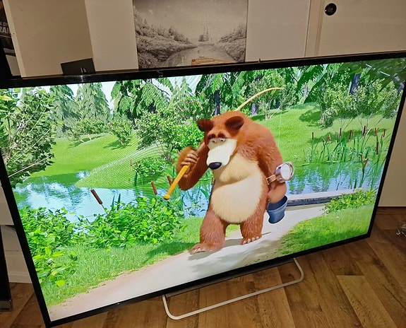 SONY 55 FULLHD SMART TV+chromecast