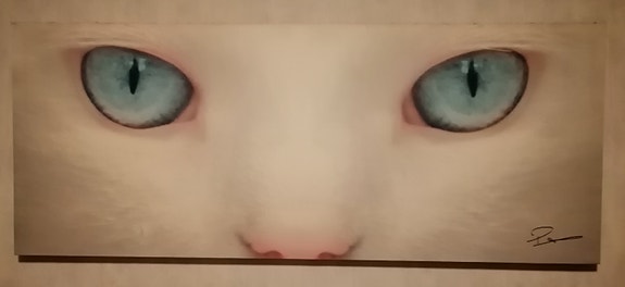 Hieno kissataulu