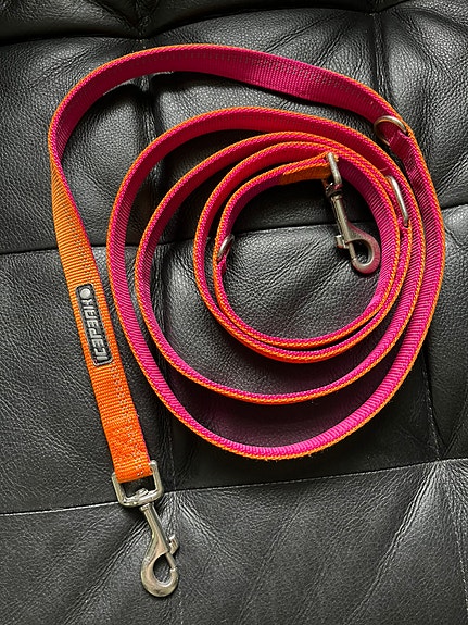 Icepeak koiran hihna