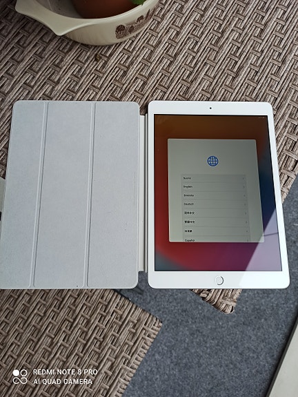 iPad
