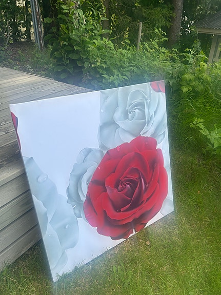 Canvas taulu punaisella ruusulla