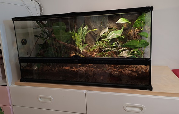 Surugekkoja ja terraario (Exoterra)