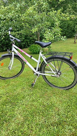 Nakamura Peppino 26"
