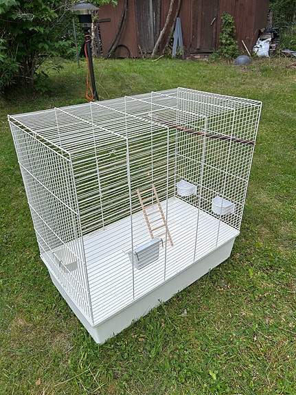 Lintuhäkki