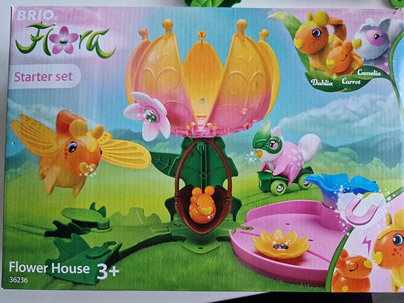Brio Flora -aloituspakkaus