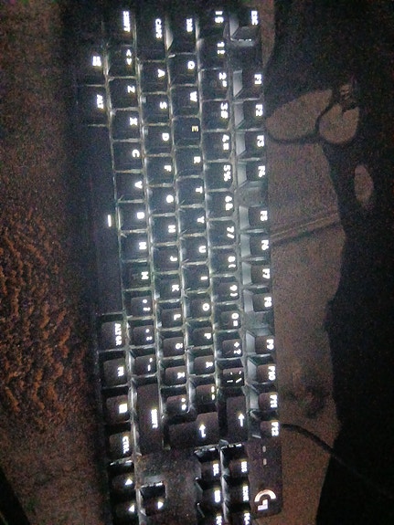 logitech g413 pelinäppäimistö valaistu