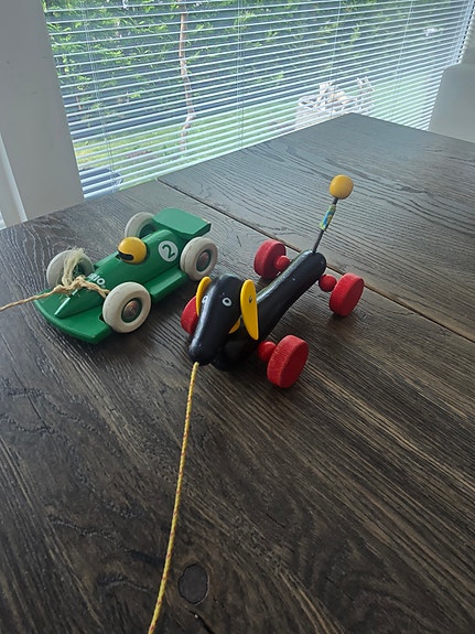 Brio auto ja koira