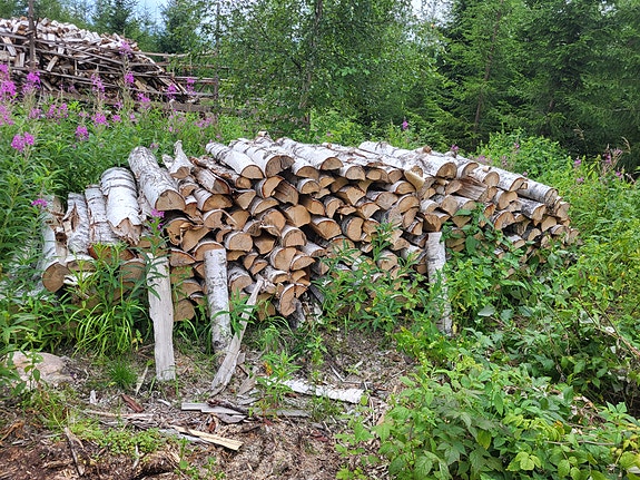 Myydään koivuhalkoja