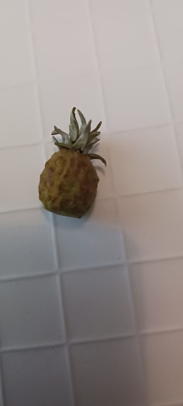 Nukkekodin ananas