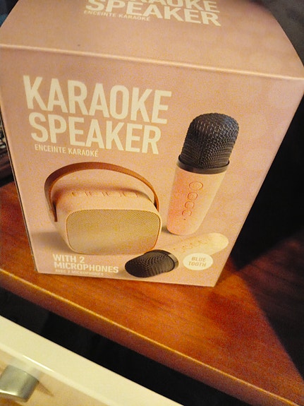Karaoke soitin ja 2 mikkiä