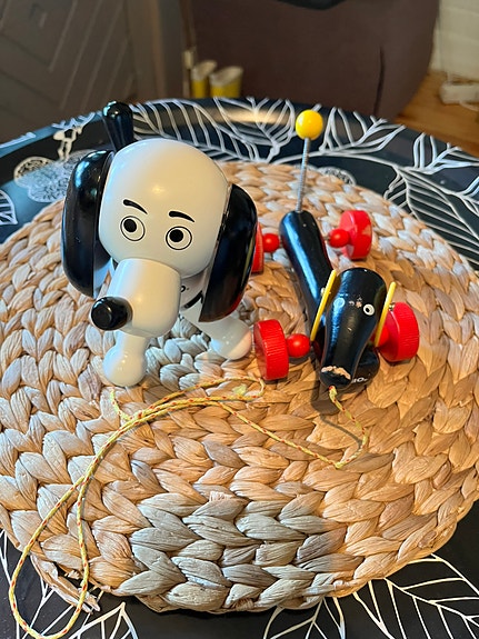 Brio Puck ja vedettävä koira