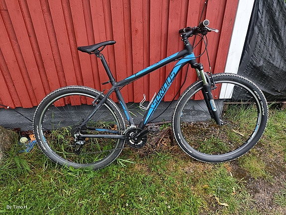 29" maastopyörä