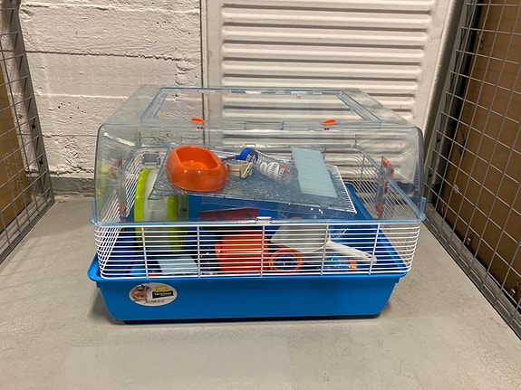 Hamsterin häkki