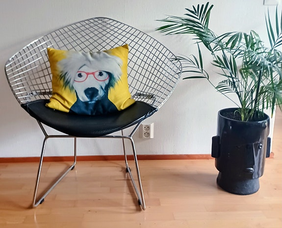 Hauska "Warhol" tyylinen koristetyyny