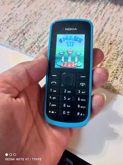 Nokia 113