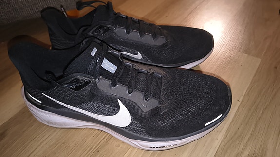 Nike Performance AIR ZOOM STRUCTURE 25