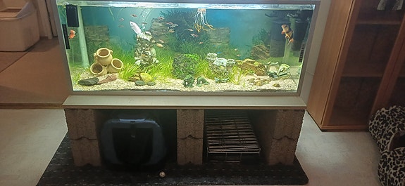 300l akvaario ja kaikki tarvikkeet.