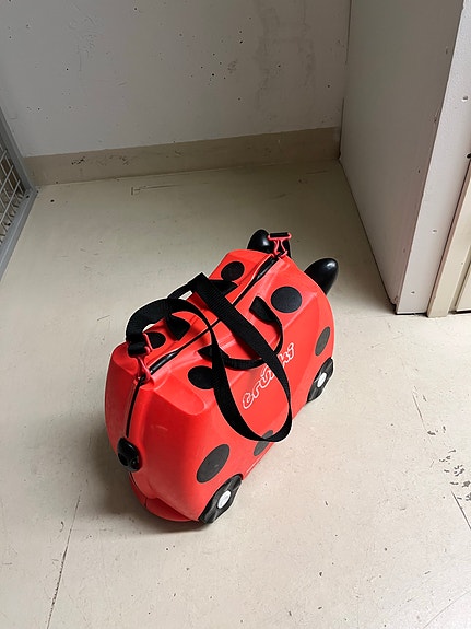 Lasten Trunki-matkalaukku, leppäkerttu