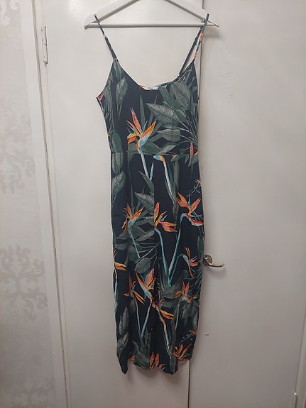 Haalari