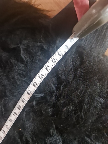 Product image 12 of 12
