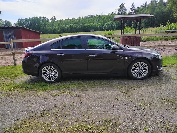 Opel Insignia 2,0 cdti A Sport OPC Line 2014 osina