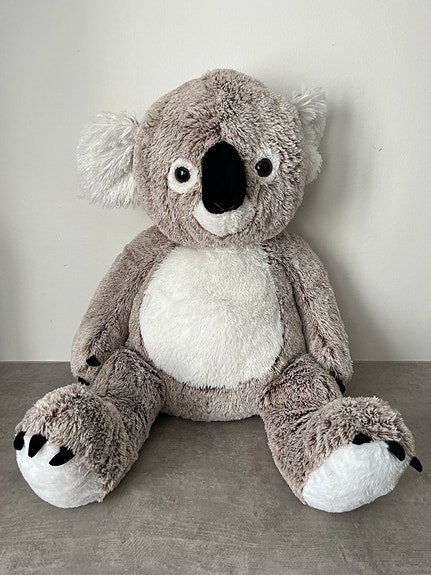 Koala pehmo