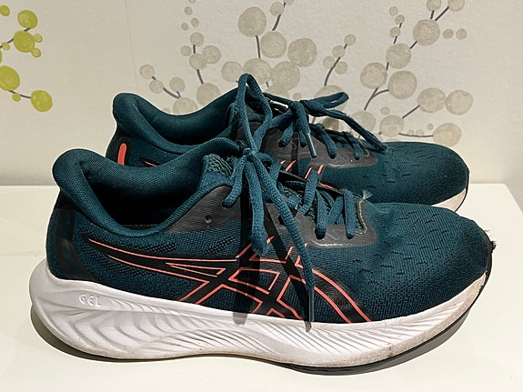 Asics GEL-CUMULUS 39,5