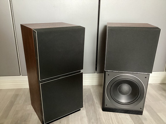 Bang & Olufsen Beovox s120
