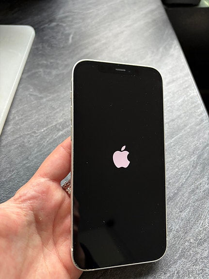 iPhone 12 64gb valkoinen