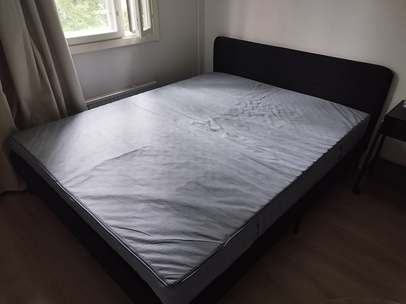 joustinpatja