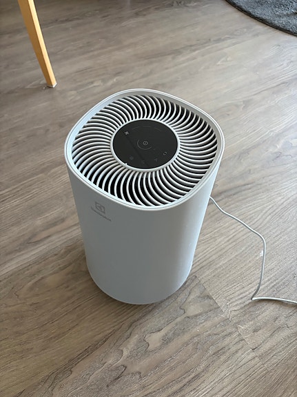 Electrolux-ilmanpuhdistin