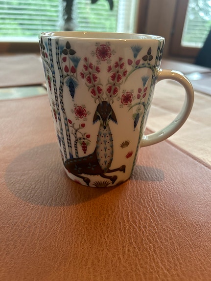 Iittala Siimes Taikamuki