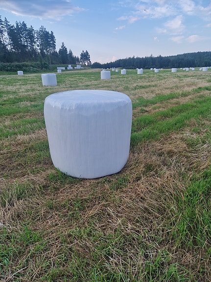 Kuivaa heinää pyöröpaaleissa