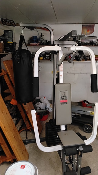 WEIDER sparring system