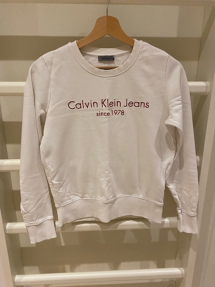 Calvin Klein college