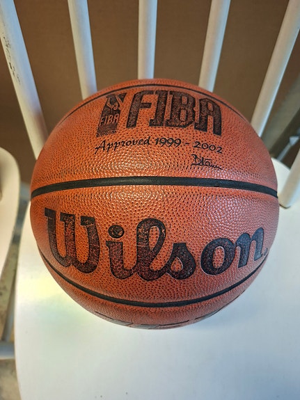 Wilson Jet Supreme Leather koripallo