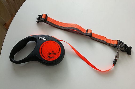Flexi New Classic kelatalutin ja hihna koiralle oranssi