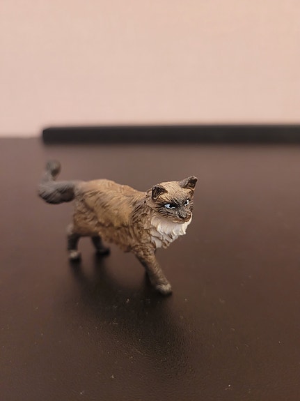 Schleich ragdoll kissa..