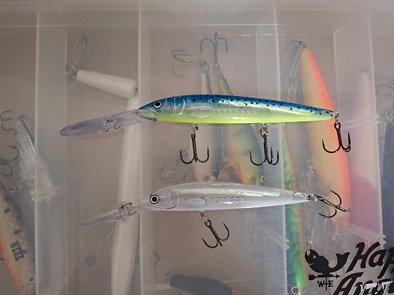 Rapala Down Deep Husky Jerk