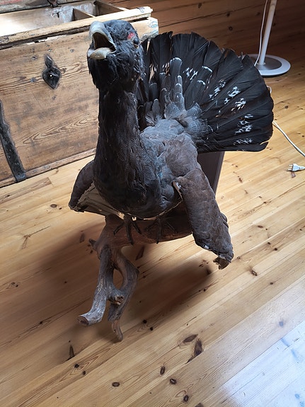 Täytetty ukkometso