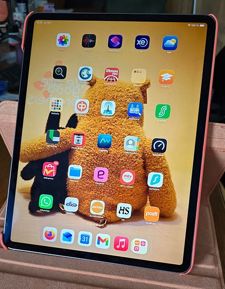 IPAD PRO 12,9" 256 GB, 4G, WIFI + CELLULAR