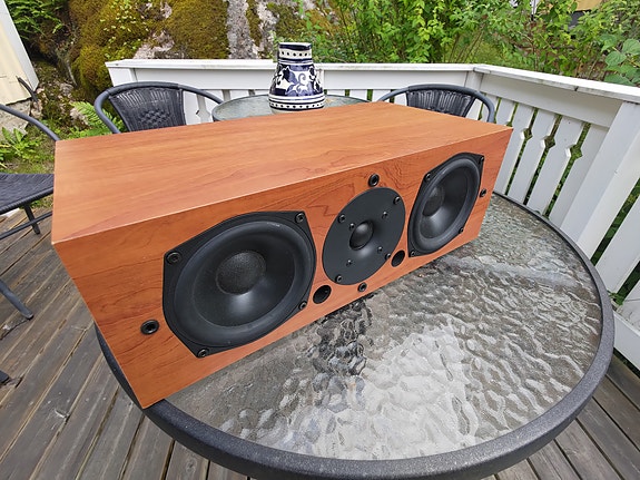 Audio Pro EGO 313 - keskikaiutin