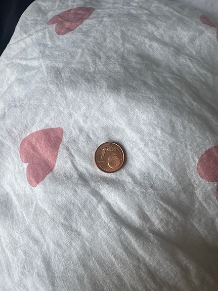 1 sentin kolikko