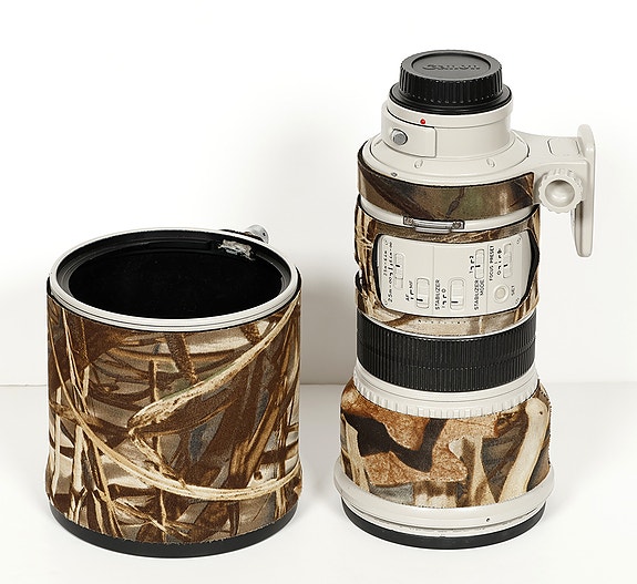 Canon EF 300mm 2.8 L IS USM