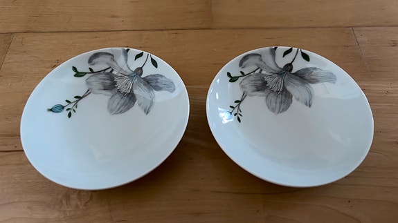 Vallila Clematis -lautaset 2kpl Tanja Orsjoki 2014