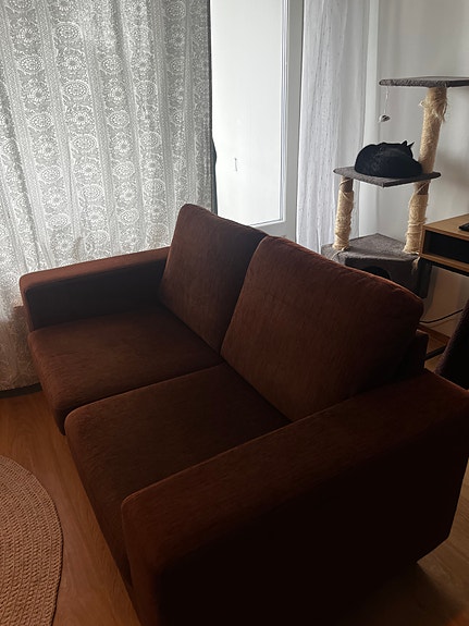 Kahden istuttava ruskea sohva