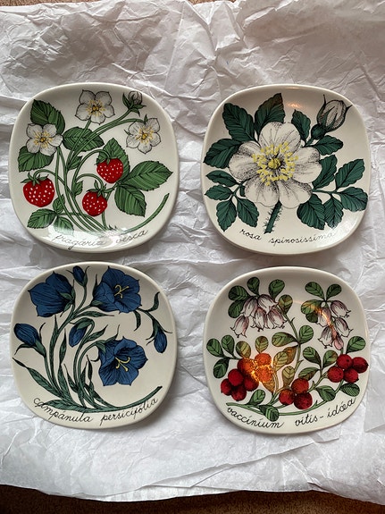 Arabia Botanica Seinälautanen Esteri Tomula
