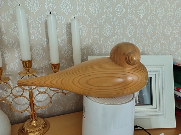 Puinen lintu, Aarikka