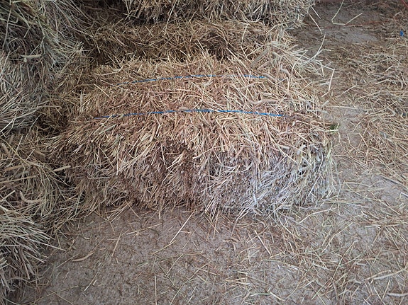 Heinää pienpaalissa