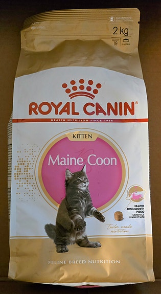 Royal Canin Maine Coon Kitten -kuivaruoka 2kg